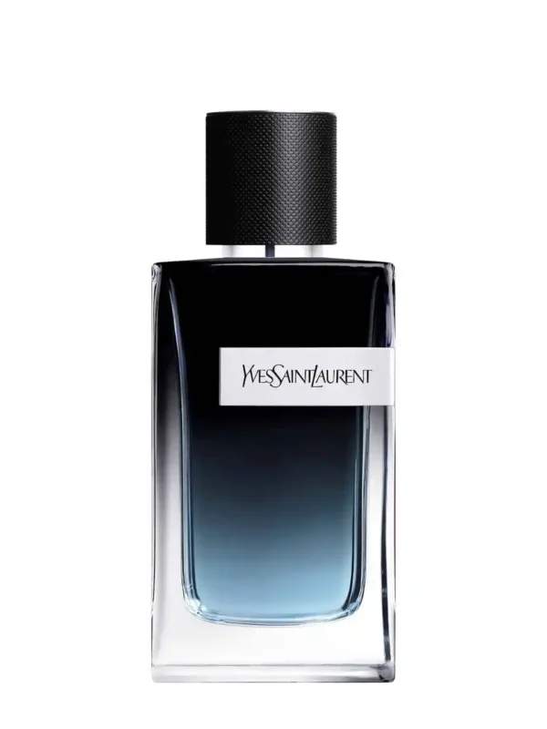 Ysl-y-edp