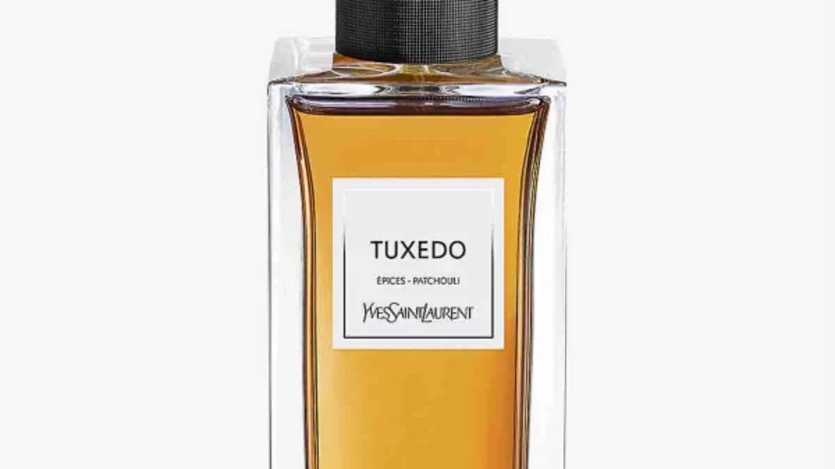 YSl-Tuxedo-1200x675.webp