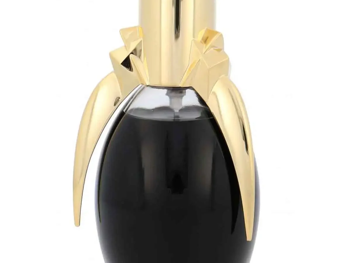 LADY GAGA FAME Fame: Lady Gaga: Amazon.in: Music}