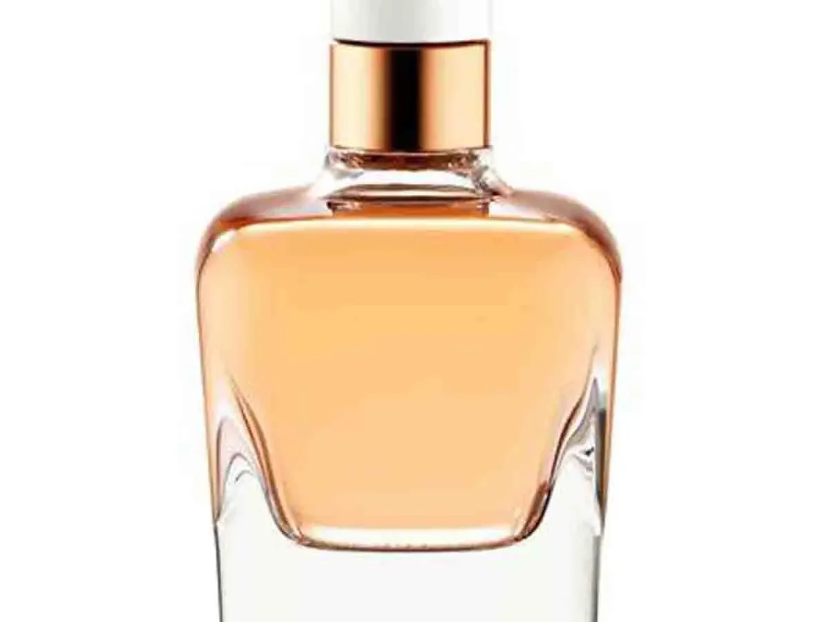 Absolu Eau De Hermes Absolute Perfume Hermes Jour D'Hermès Absolu